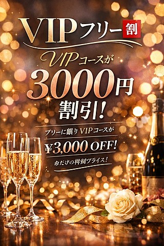 お得なVIP+フリー割